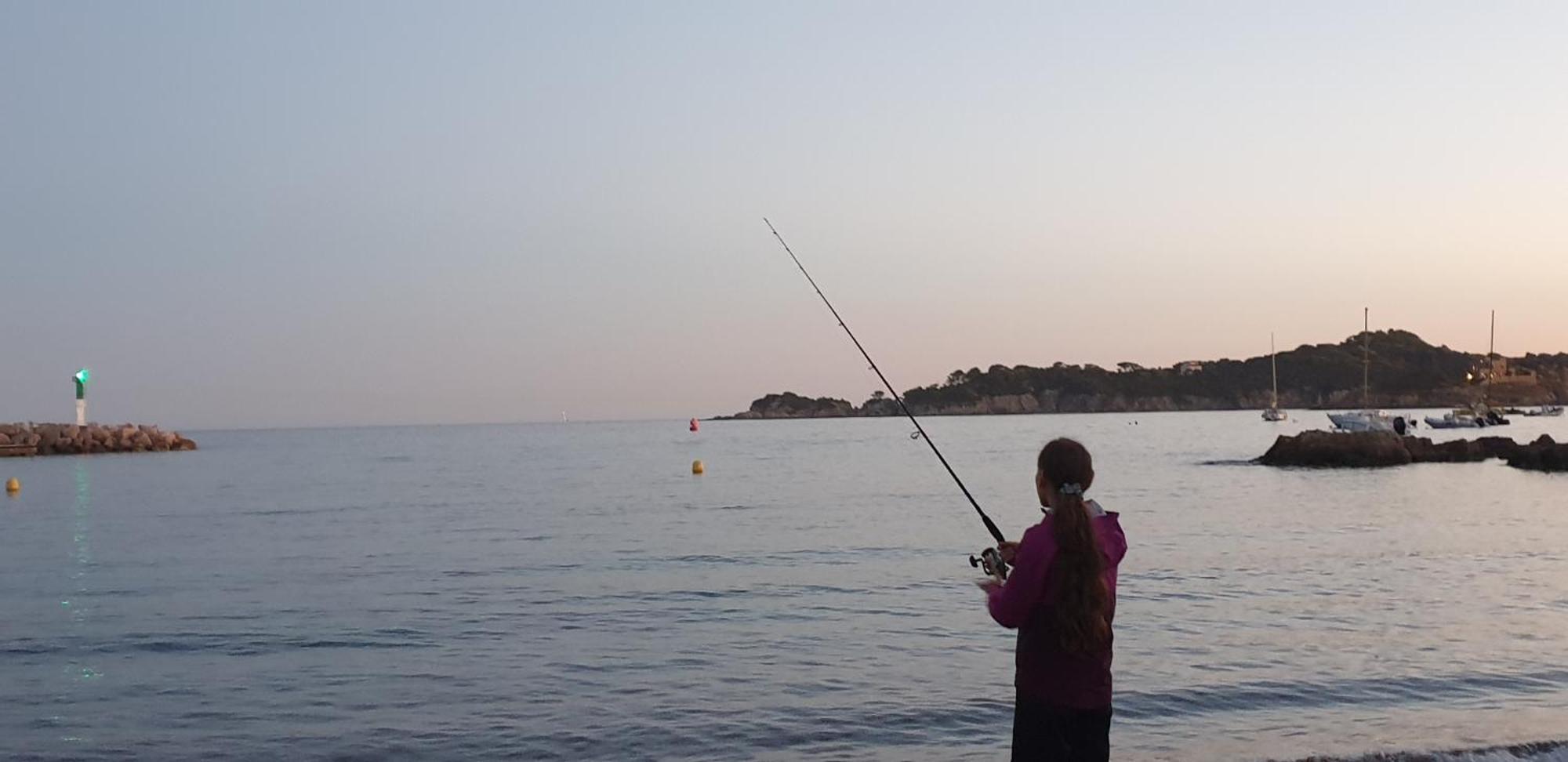 Giens Peninsula Seaside Villa: Private Garden, Pool, And Access Hyeres