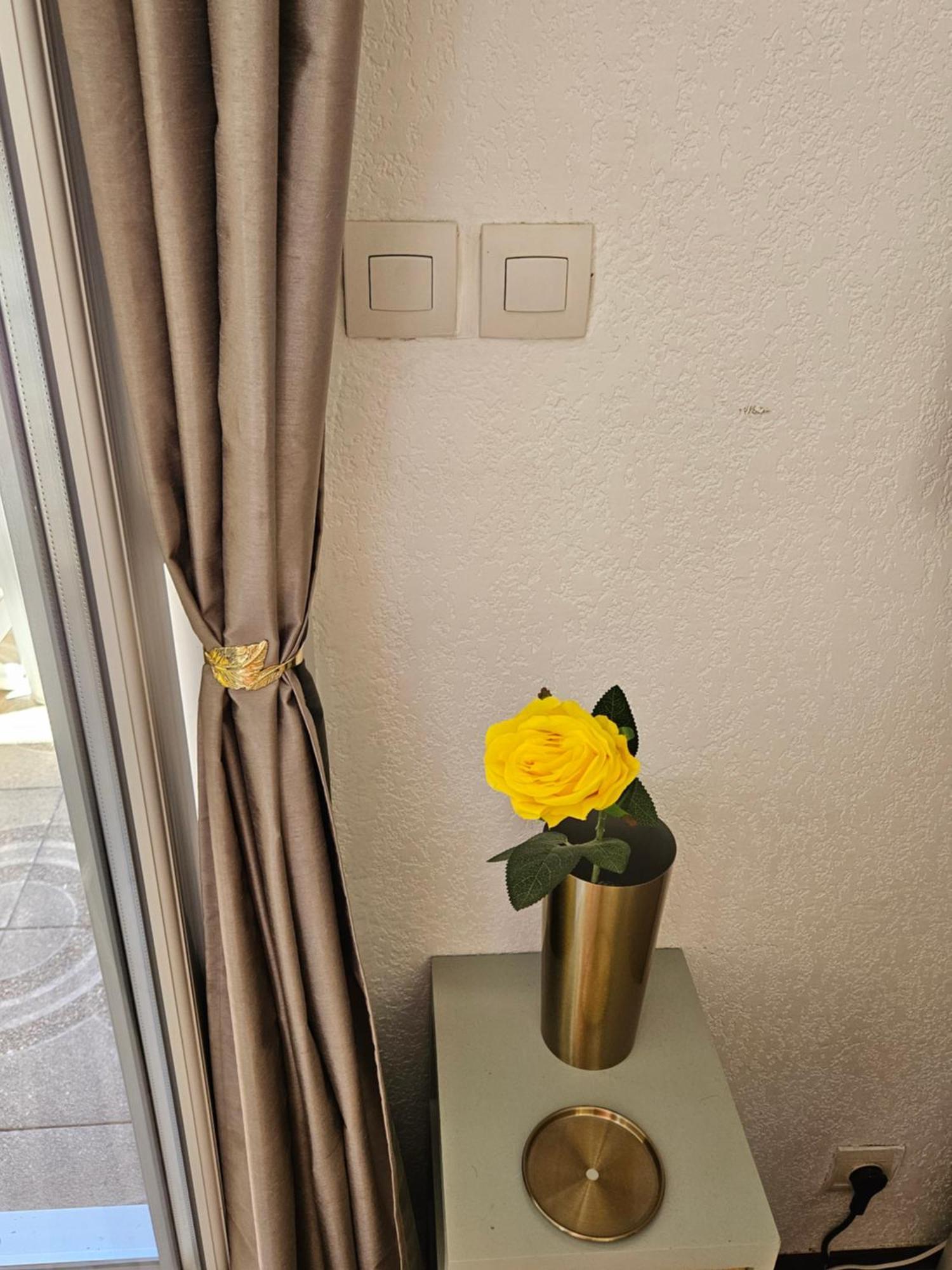 Apartment Giens Peninsula Seaside Villa: Private Garden, Pool, And Access